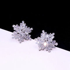 Boucle d'Oreilles Reine de Mariage - vue 1