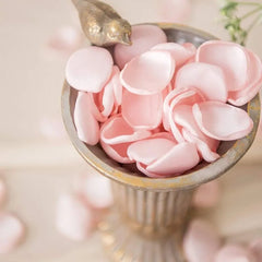 Pétale de rose - Rose