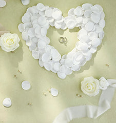 Pétale de rose - Blanche