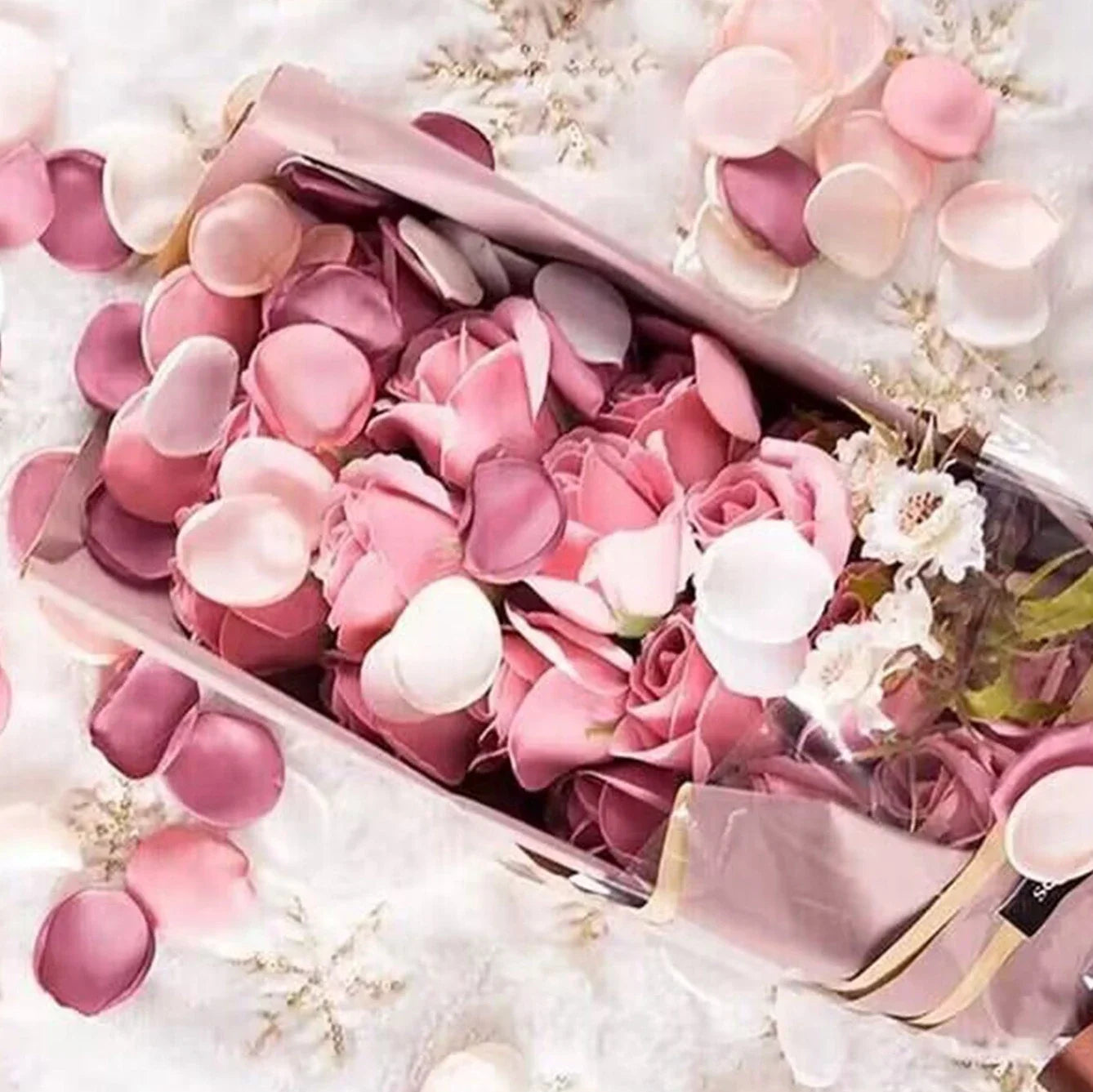 Pétale de rose - Blanche - Rose - Rouge