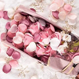 Pétale de rose - Blanche - Rose - Rouge