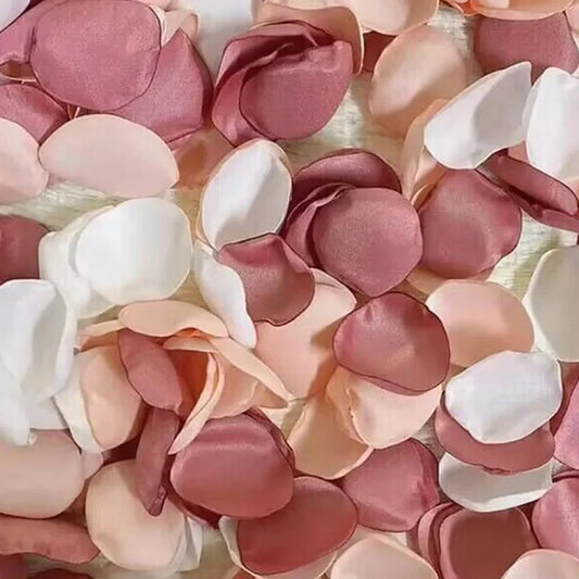 Pétale de rose - Blanche - Rose - Rouge - vue 2