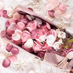 Pétale de rose - Blanche - Rose - Rouge - vue 3
